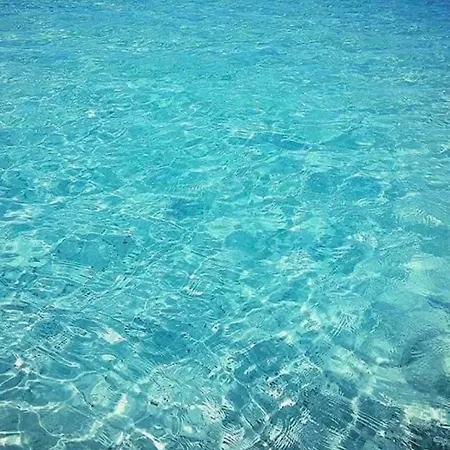 Casa Aloha Prázdninový dům San Vito Lo Capo